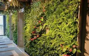 润洲生态植物墙设计方案