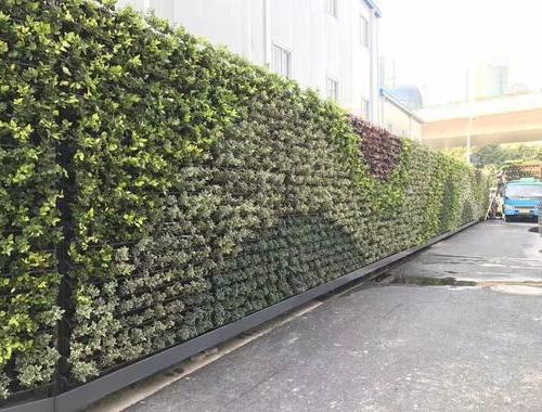 模块袋式植物墙